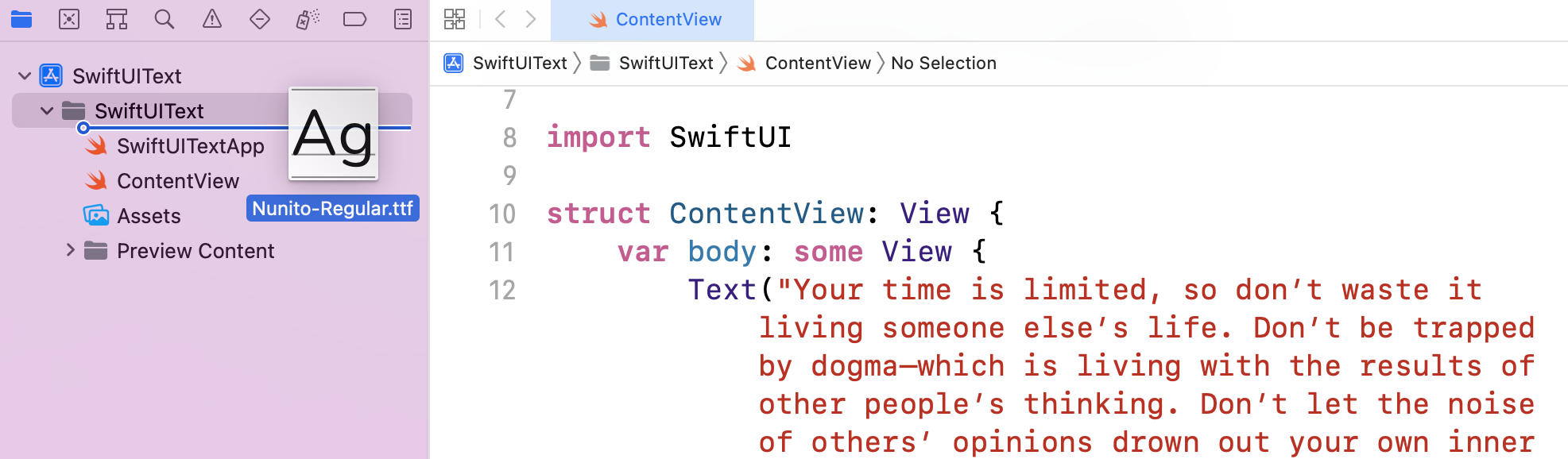 圖 16. 將字體檔加到你的 Xcode 項目中